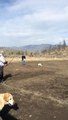 Shooting Flu-flu's at an aerial target, archery in Kamloops