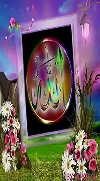 VID-20150621-WA0008.mp4