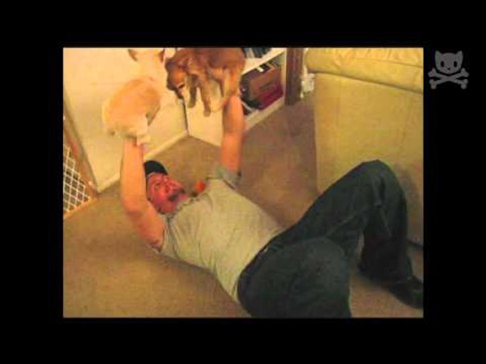 Bro uses his dogs as dumbells