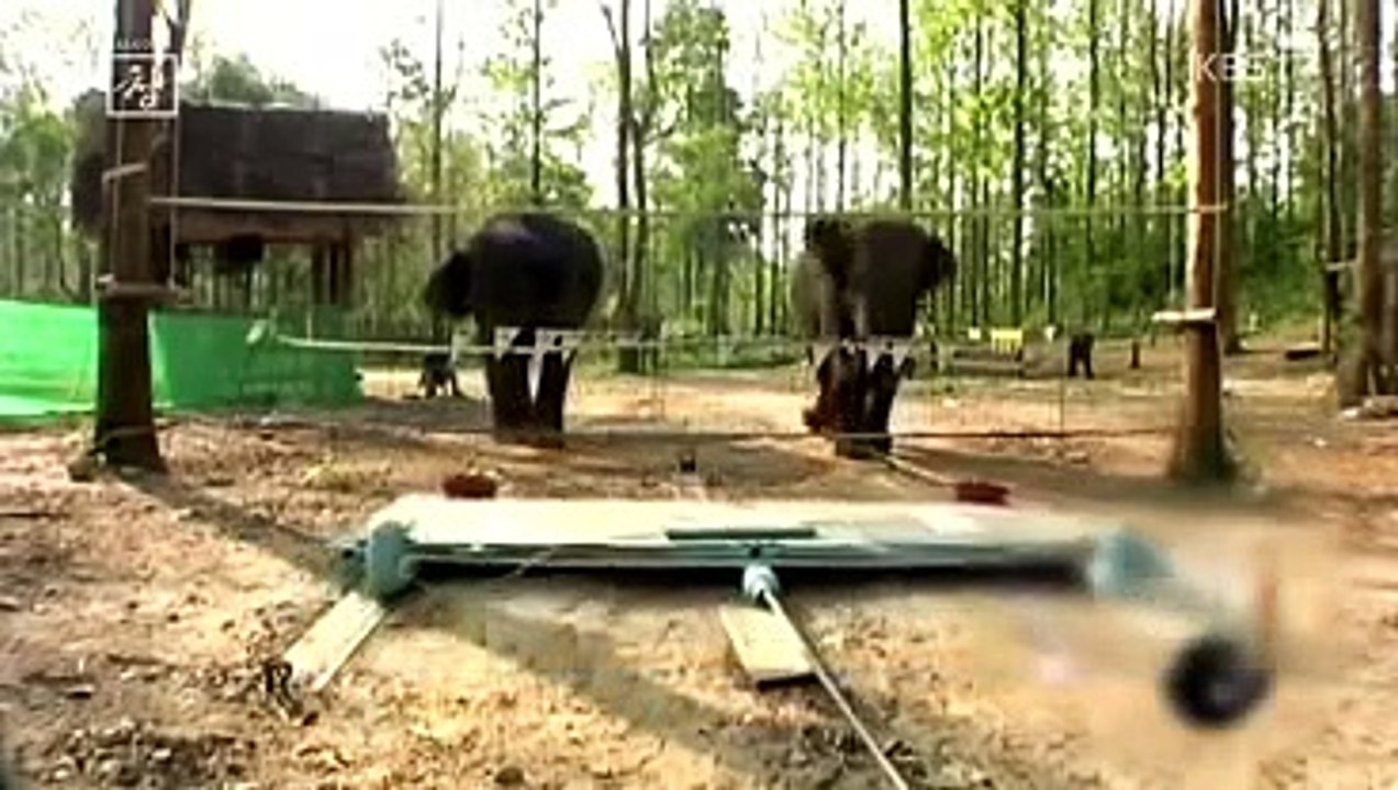 전교 1등은 알고 있는 공부