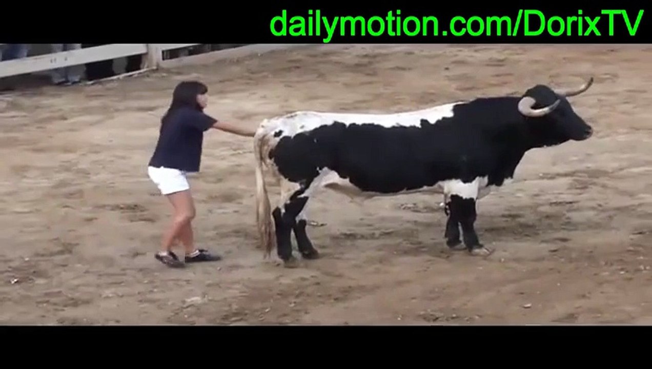 Girl xnxx makes bull in calm