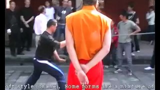 Southern Shaolin White Crane Kungfu