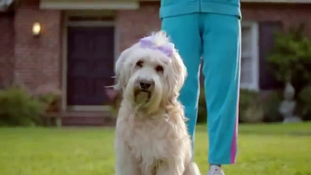 Subaru Impreza Commercial 2015 Make a Dog's Day Song by Willie Nelson