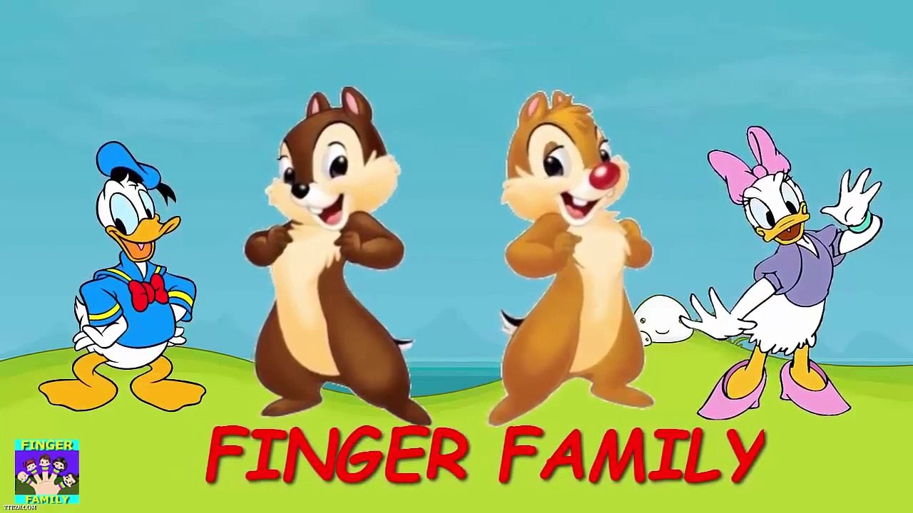 Chip And Dale Finger Family Song   Donald Duck And Daisy Dady Finger