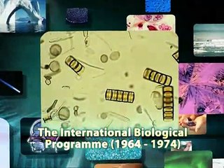 2D 3D TV Ads Sample 5