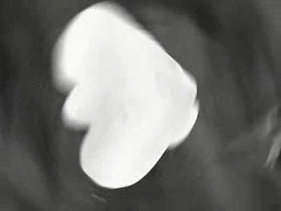 The_Radio_Dept._-_Pulling_Our_Weight