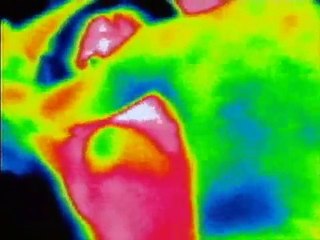 La Biología del Amor - Desmond Morris. Parte 5/5.