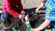 Surprise Toys Beach Princess MERMAID Frozen Queen Elsa AllToyCollector Ariel Puppy Shopkins