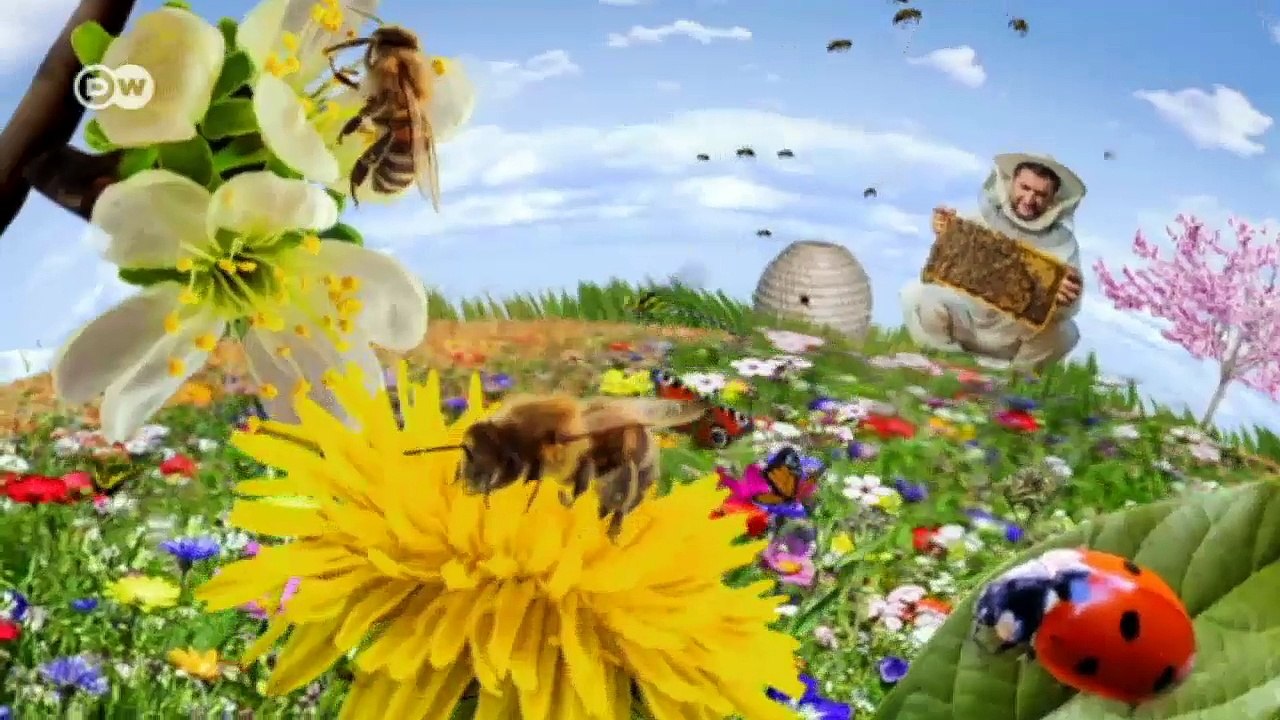 Moldova - Export Markets Driving Environmental Protection | Global 3000