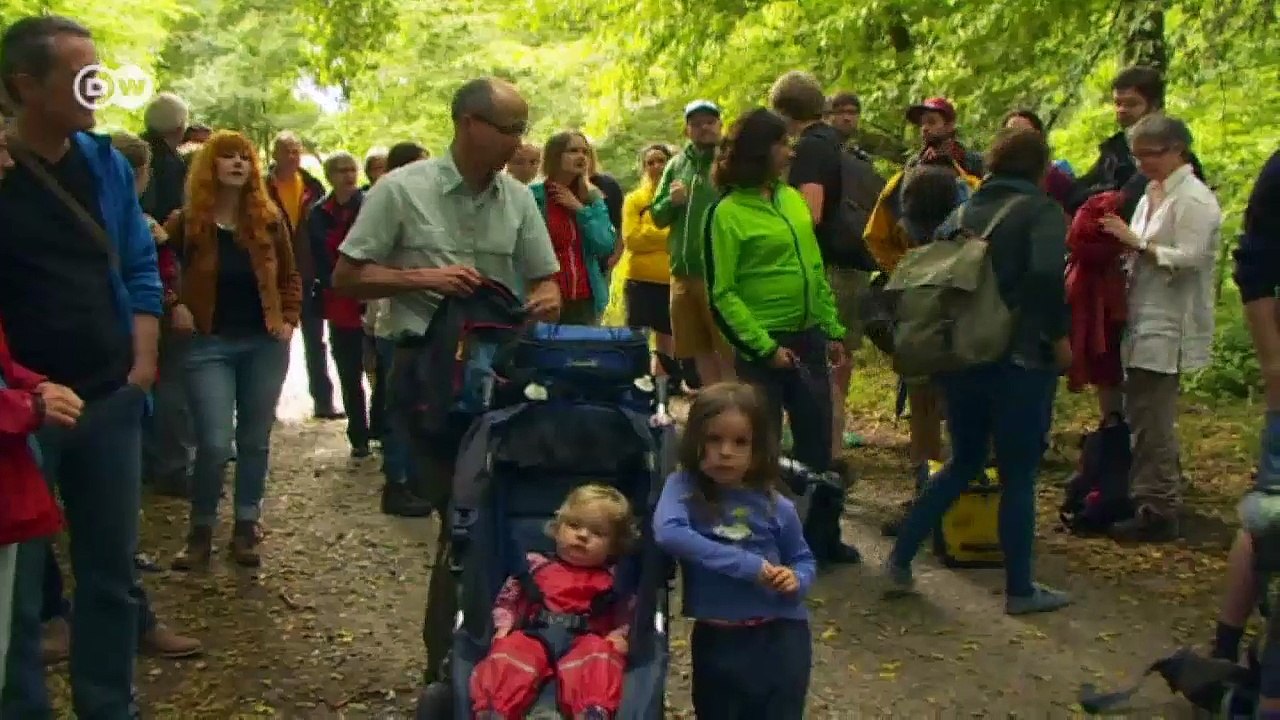 Extreme Activism: Environmentalists in Hambach Forest | Global 3000