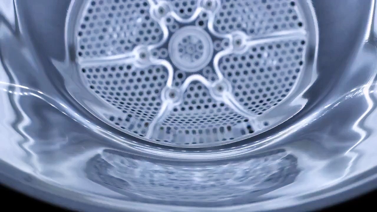 Secadoras Miele T1 Tambor Softtronic