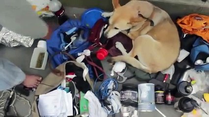 French homeless man, 50 years old, aids patient, street bodybuilder!!! English subtitles