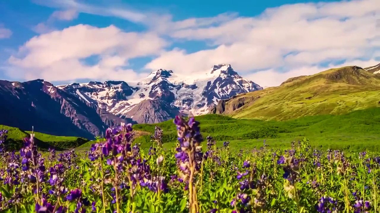 Relax with nature HD 1080p.