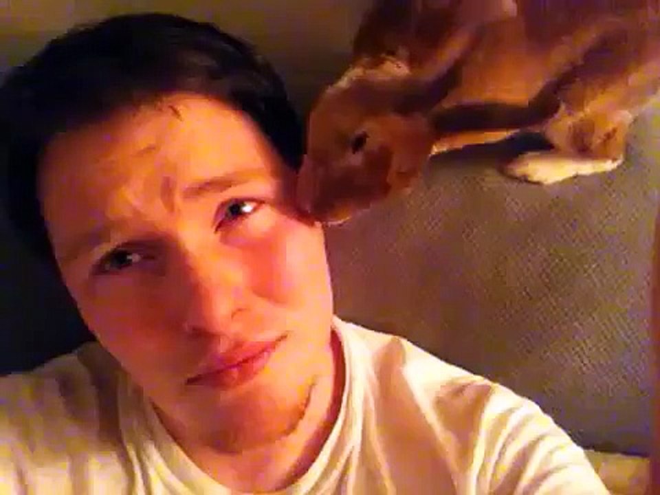 Rabbit kisses