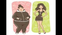 Obesity Facts and Information