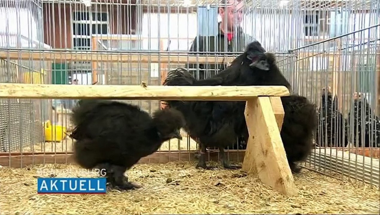 jürgen buhtz und Horst Förstera in Paaren im Glien