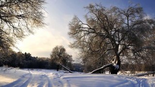 Уральский русский народный хор - Белым снегом.