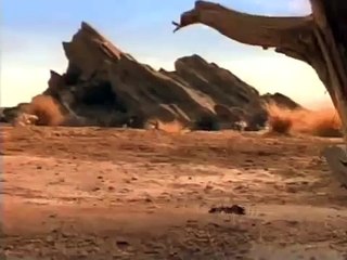 Super Bowl Commercial Budweiser Ants