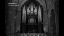 Animusic - Aqua Harp (Pipe Organ Cover)