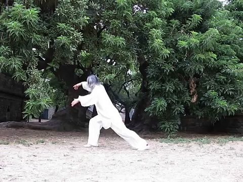Yang Taichi Chuan. Ocho movimientos-ZHANG XIUMU 八式太极拳