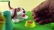 Play Doh Puppies Playset playdoug.Create a whole litter of puppies with the Play-Doh Puppies.