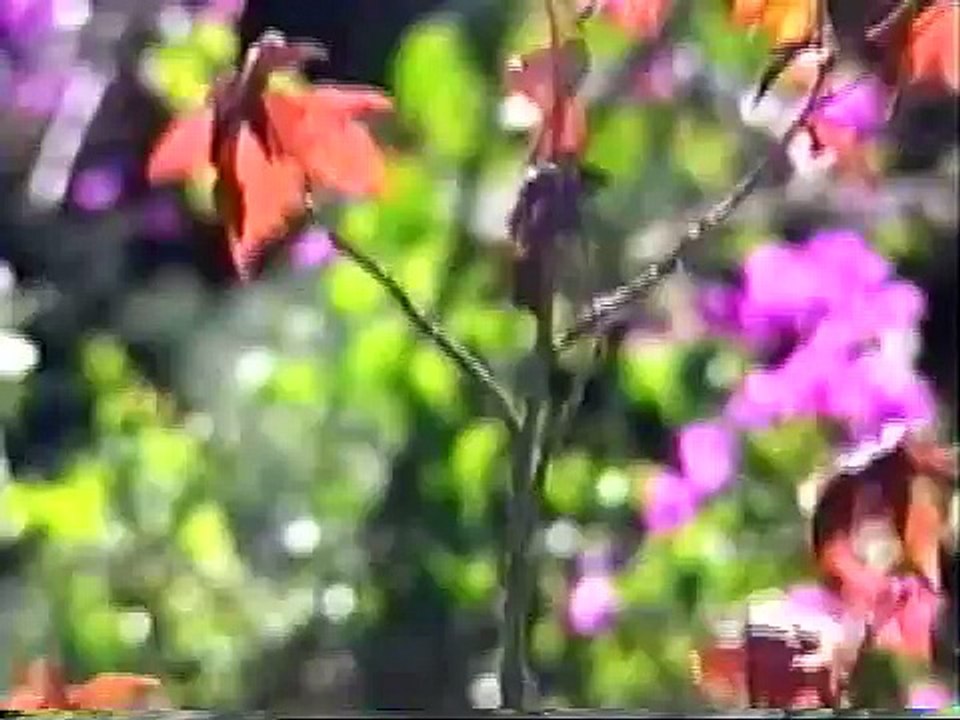 Rota Romântica - RS / Brasil - Parte 2
