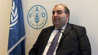 FAO DG meets with Mr. Louis Lahoud, Lebanon's Director-General of Agriculture