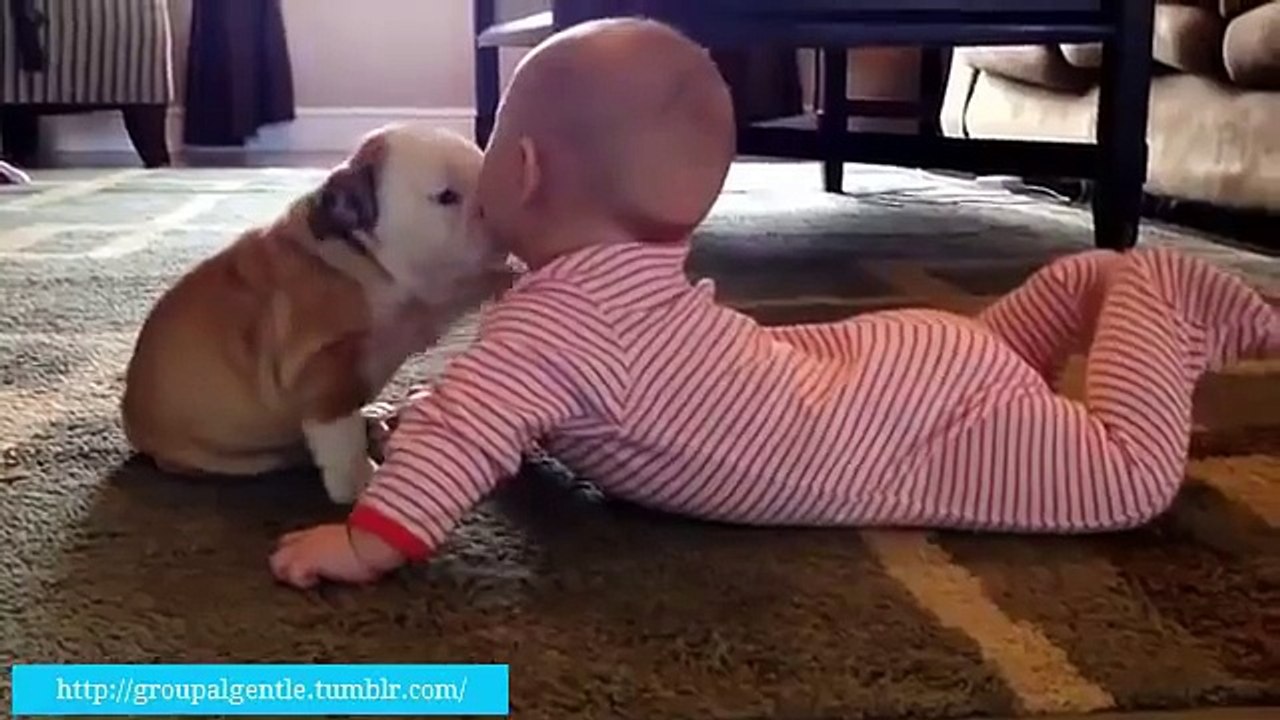 جرو يغرق طفلة رضيعة بالقبلات