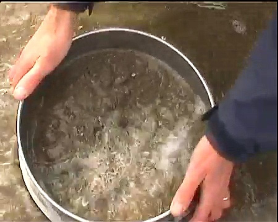 Marine Intertidal video of  Wales, Pen Llyn a'r Sarnau SAC