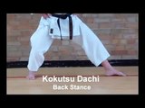 Karate Stances Basic Shotokan Stances Kokutsu Dachi - Back Stance