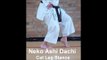 Karate Stances Basic Shotokan Stances Neko Ashi Dachi - Cat Stance