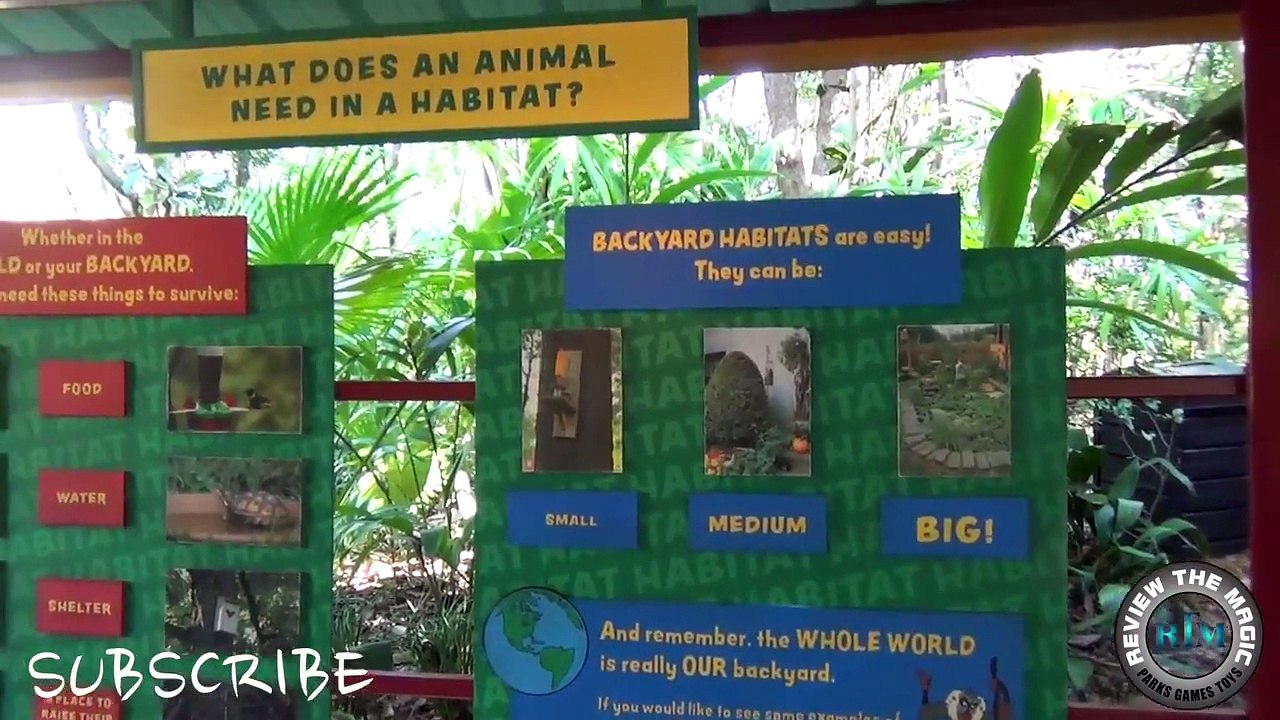 Sights and Sounds from Disney s Animal Kingdom Rafiki s Planet Watch and Conservation Station