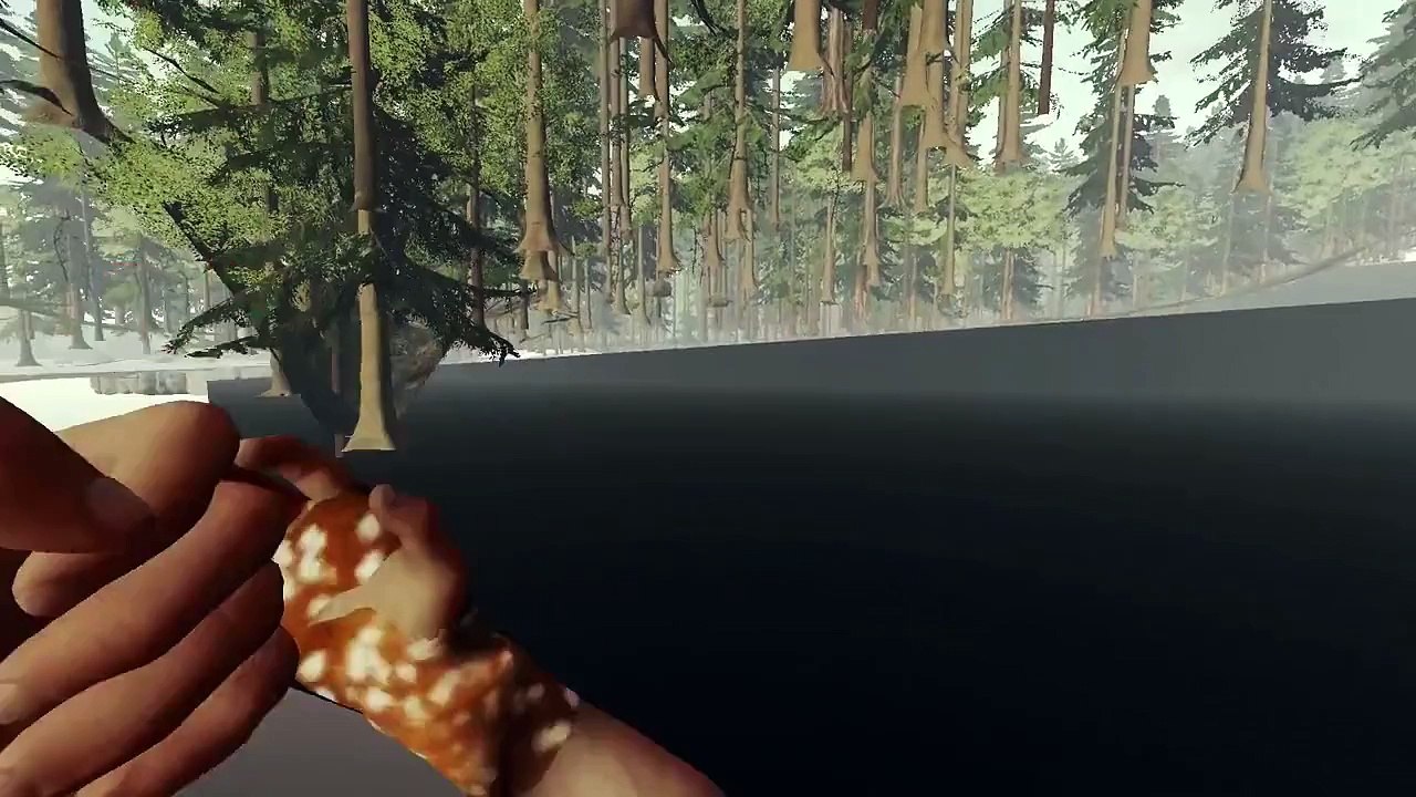 Трейлер The Forest