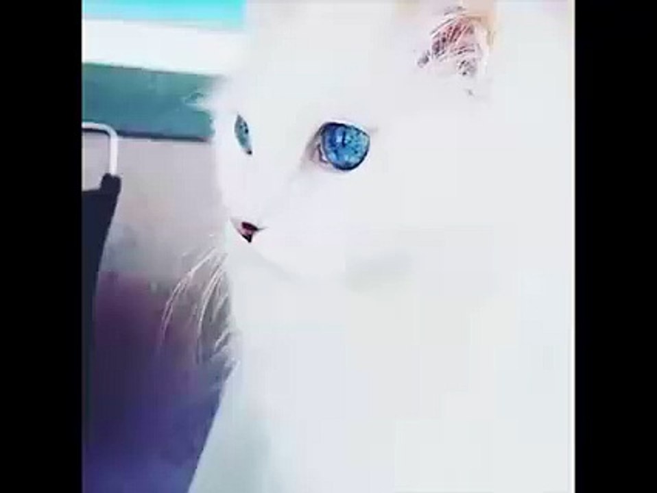 That Eyes