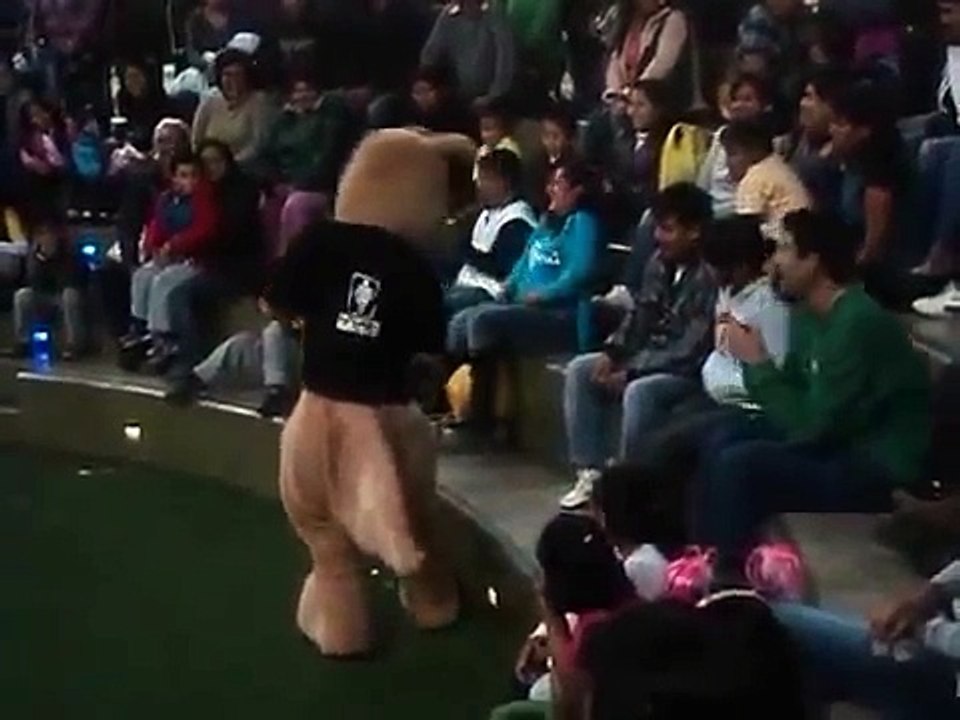 CANGURO MAX EN HUACHO - PLAZA DEL SOL