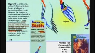 Evolution Part 6: Homologous Structures, 