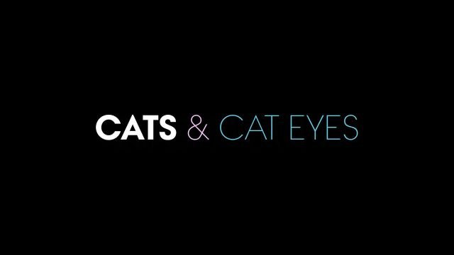 Go Behind The Scenes Of Our Cats And Cat Eyes Beauty Shoot