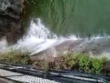 Nakki Lake is overflowing - Mount abu rainfall live video