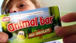 Animal Chocolate Song
