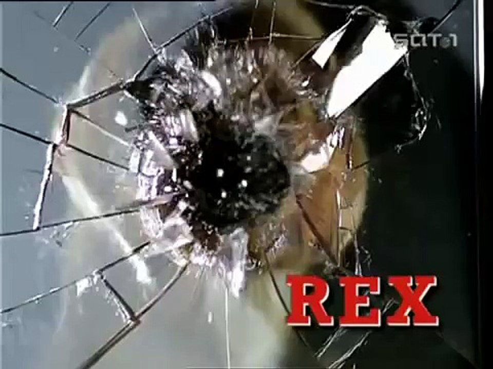 Rex chien flic - Générique Saisons 9 &10