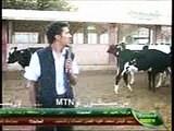 عبده حيدر-تقرير عن جنون البقر-قناة اليمن