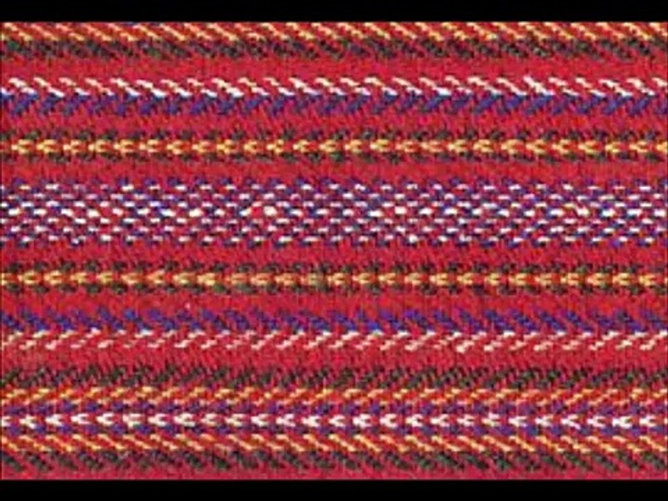 Introduction to Atlantic Canadian History: The Acadians, Métis and First Nations (Mi'kmaq)