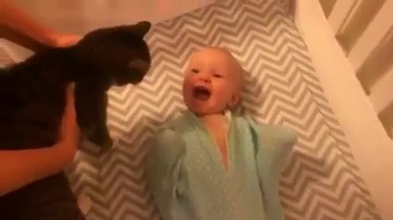 baby's reaction when he saw the cat for the first time