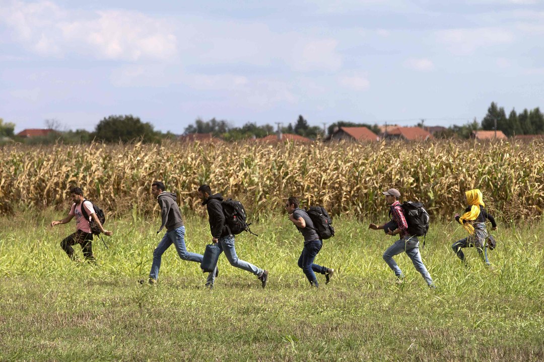En Hongrie, des migrants fuient le camp de fortune de Röszke