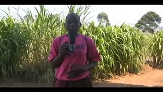 SHARE Girls in Tanzania give video shout-outs to their American pen pals