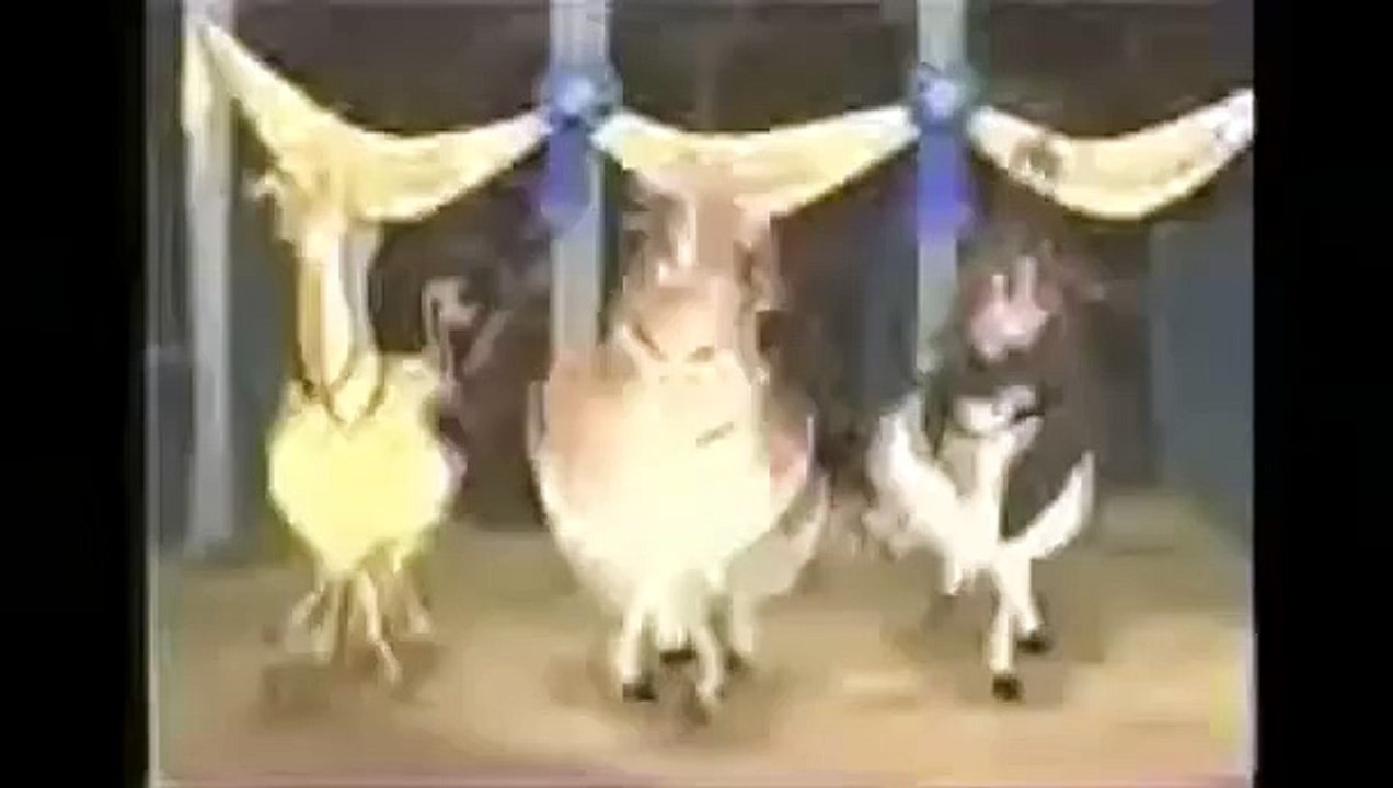 Home On The Range DVD TV Spots
