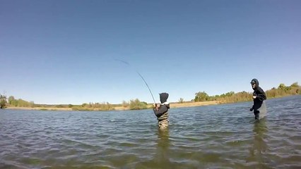 King Salmon Fishing on the Sacramento River