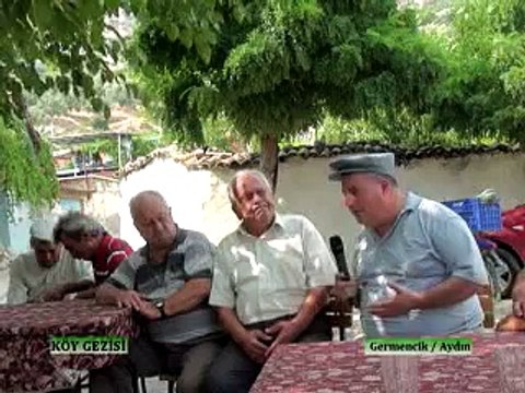 231 İncir Germencik Aydın