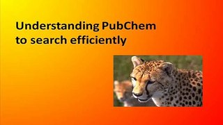 Understand PubChem to search efficiently