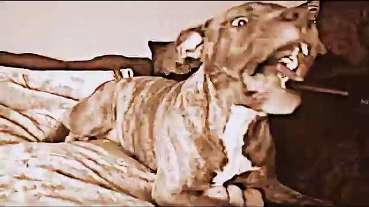 Dog Video
